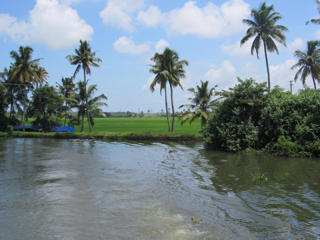 Marari Dreamz Villa Alappuzha Ruang foto