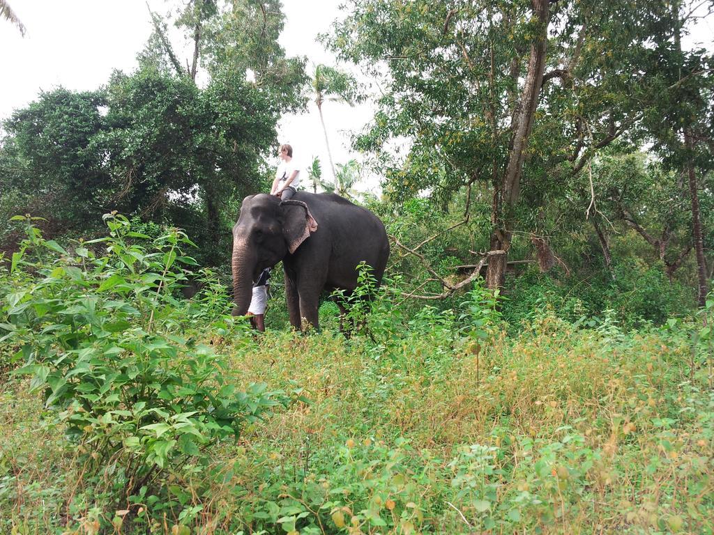 Marari Dreamz Villa Alappuzha Ruang foto